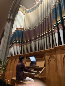 Organ at Westminster Hall